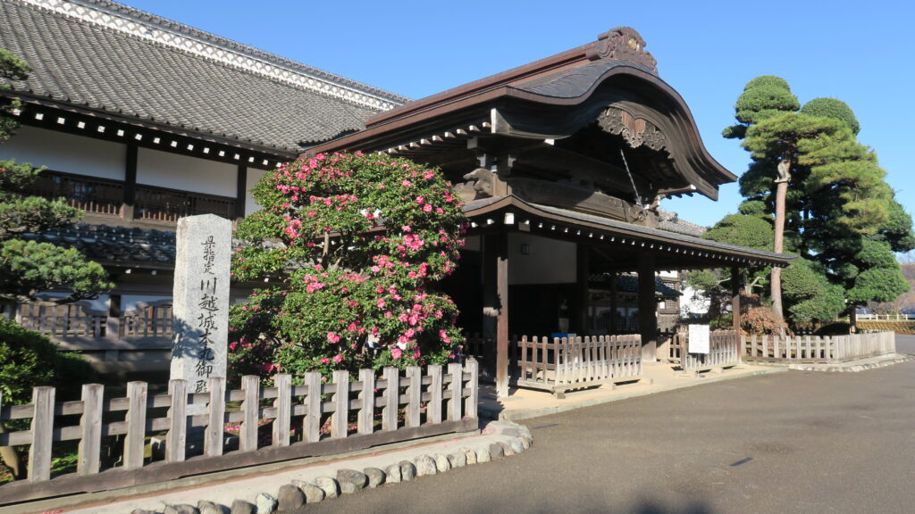 本丸御殿山茶花